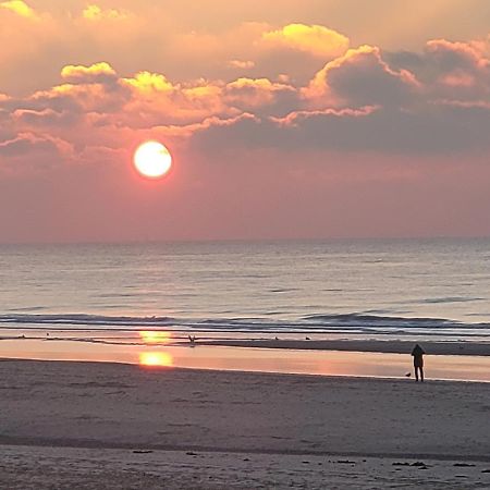 Pension Canberra Bergen aan Zee Zewnętrze zdjęcie